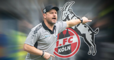 Steffen Baumgart wird Trainer beim 1. FC Köln: HSV und Hannover aus dem Rennen
